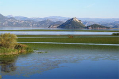 SKADAR LAKE 